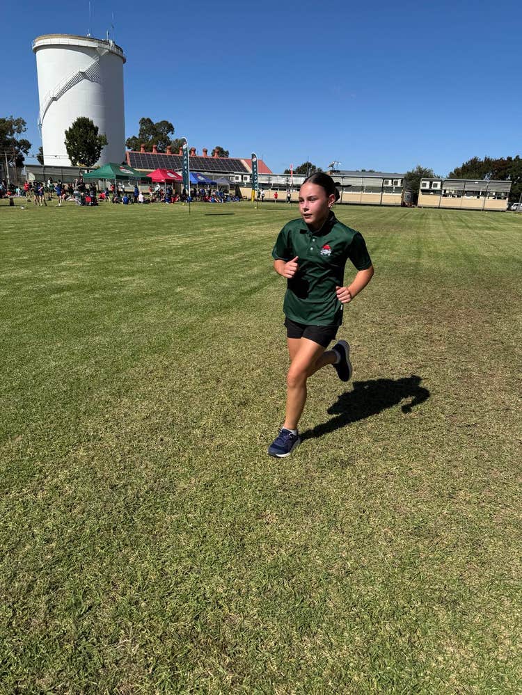 Sports fields for fitness and fun