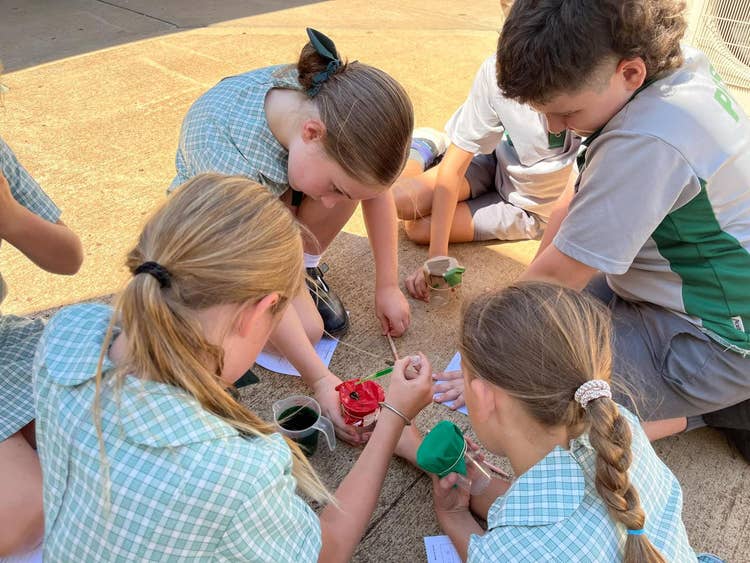 Additional Learning Support